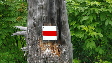 Yellow touristic direction metal sign on the trunk of the tree showing direction to the travelers of beautiful Slovakian national park.