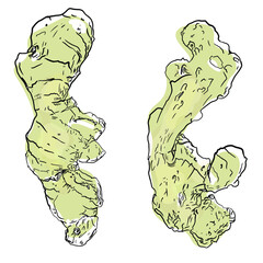 Vector illustration of ginger set. For printing logos, stickers, menus, blank for designers