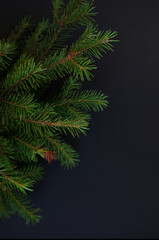 Happy new year and Merry Christmas. Background of Christmas tree branches.