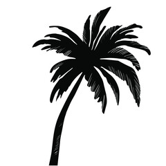 realistic black silhouette of tropical palm bounty