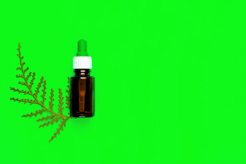 A bottle of essential oils and a sprig of a coniferous tree on a green background. Essential oils have antibacterial, soothing and regenerating properties.