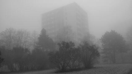 Trees with an apartment building in the park during misty morning. The atmosphere looks mysterious but beautiful in the same time. It's Winter so the grass has time on it.