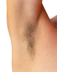 Isolated woman hairy unshaved armpit on the white background holding arm straight - obrazy, fototapety, plakaty