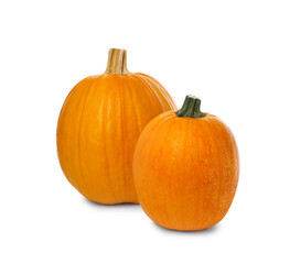 Fresh ripe orange pumpkins on white background