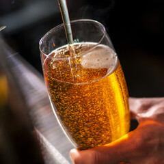 bartender pouring beer from tap cube