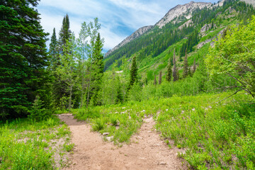 Hiking trail in the Rocky Mountains of Colorado © pabrady63