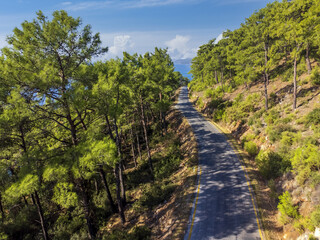 Aerial View of Road Between Pine Forest and Akyaka Road, Turkey