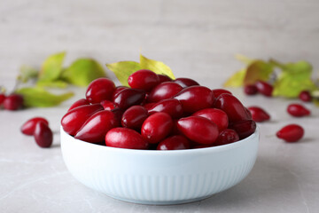 Fresh ripe dogwood berries in bowl on light grey table, closeup