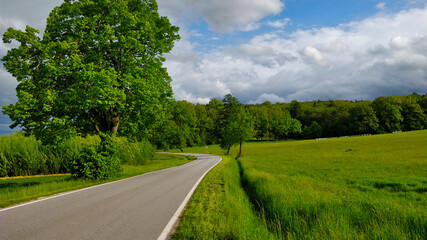 Road going through South Bohemian countryside during beautiful spring weather. There is a grassland and a forest in the background and big tree in the foreground.