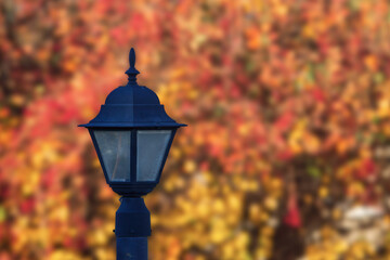 lantern in autumn