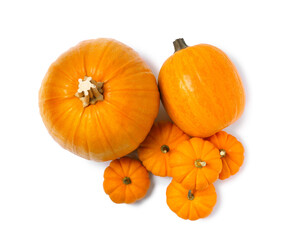 Fresh ripe pumpkins on white background, top view