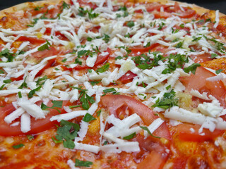 Detail of fresh pizza with mozzarella, tomatoes, and parsley. This pizza was made in Czech Republic.