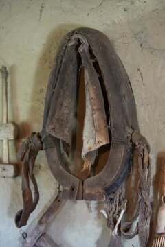 Old horse harness on the wall.