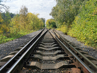 Railroad stretching into the distance in the middle of a green forest