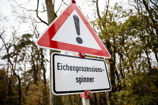 Achtung Eichenprozessionsspinner
