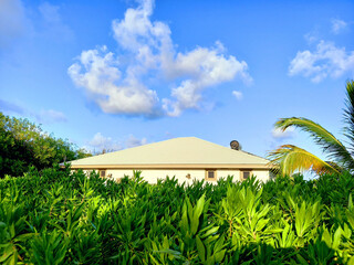Roof of Caribbean house with foreground of tropical vegetation and blue sky of the French West...