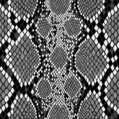 Seamless snake skin pattern. Vector exotic african animal texture. - 467209130