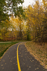 Naklejka premium A Hiking Trail in Autumn