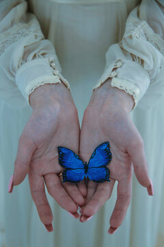 Blue butterfly on persons hand