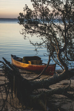 Boat On Shore Beside Broken Tree