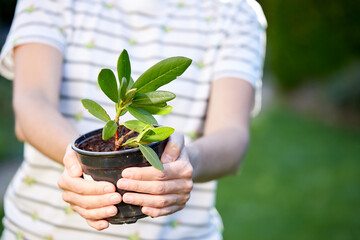 young woman with fresh plant