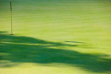 Green grass. Background. Golf course, shadows from trees on the grass. High quality photo