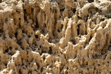 Texture of porous limestone natural background.