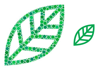 Plant leaf vector composition of circle dots in various sizes and color tones. Circle dots are combined into plant leaf vector composition. Abstract vector design concept.