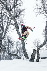Naklejka na ściany i meble Skier jumping through two trees