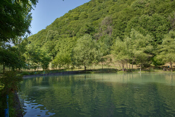 Obraz premium Green forest by the lake in reflection in the water beauty in nature . Clean green trees reflection on the mountain lake surface