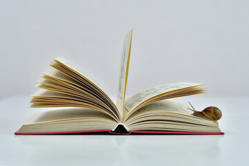 small snail slowly crawling on the open page of the book.Snail reads a book. Helix pomatia, reading crisis concept.