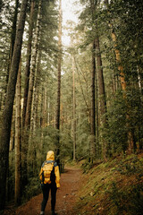 Otoño en el Parque Nacional de Ordesa y Monte Perdido © kikegon