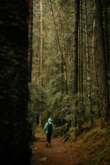 Obraz premium Otoño en el Parque Nacional de Ordesa y Monte Perdido