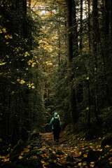 Otoño en el Parque Nacional de Ordesa y Monte Perdido