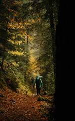 Obraz premium Otoño en el Parque Nacional de Ordesa y Monte Perdido