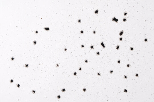 Bullet holes on a sheet of paper