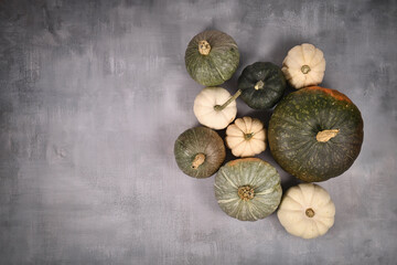 Different green and white pumpkins, squashes and gourds on gray background