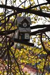 birdhouse on tree