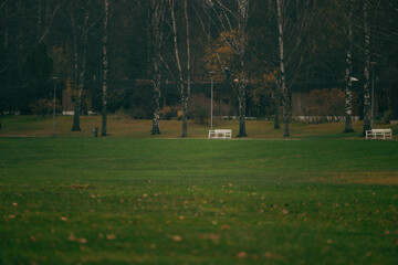 Obraz premium Nature, people and autumn. Finland, Scandinavia.