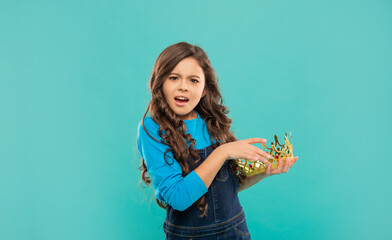 confused kid with curly hair in princess crown on blue background, selfishness - obrazy, fototapety, plakaty