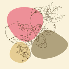 Sketch floral botany illustration