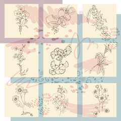 Sketch floral botany illustration