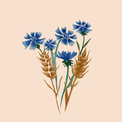 Bunch of wheat ears and blue cornflowers isolated on white.