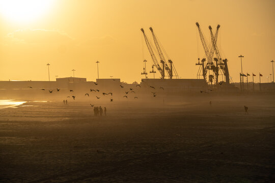 Scenic view of birds flying on the beach with cranes in the background during sunset