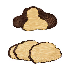 Whole and Sliced Truffle as Fruiting Body of Subterranean Ascomycete Fungus Vector Set