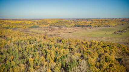 autumn nature of Sursky krai