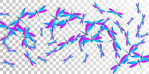 Fairy blue purple dragonfly isolated vector background. Spring pretty damselflies. Fancy dragonfly isolated baby wallpaper. Tender wings insects graphic design. Tropical creatures