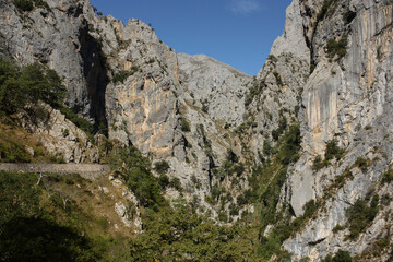 Fototapeta na wymiar Deep rock gorge at Cares Natural Park in the north of Spain