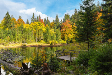 View of high-altitude forest lake Ozirtse by sunny autumn day near Synevyrska Poliana, Zakarpattia Oblast. The leaf fall forest, wild lake in mountains.
