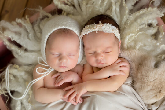 Twins. newborn twins in a basket. first photo session of newborns